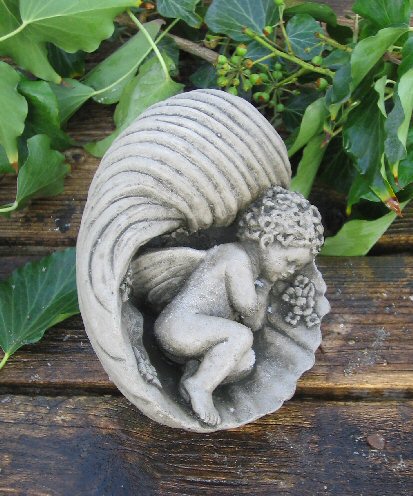 KAC37 Small Cherub Sea Shell KAC37 Small Cherub Sea Shell